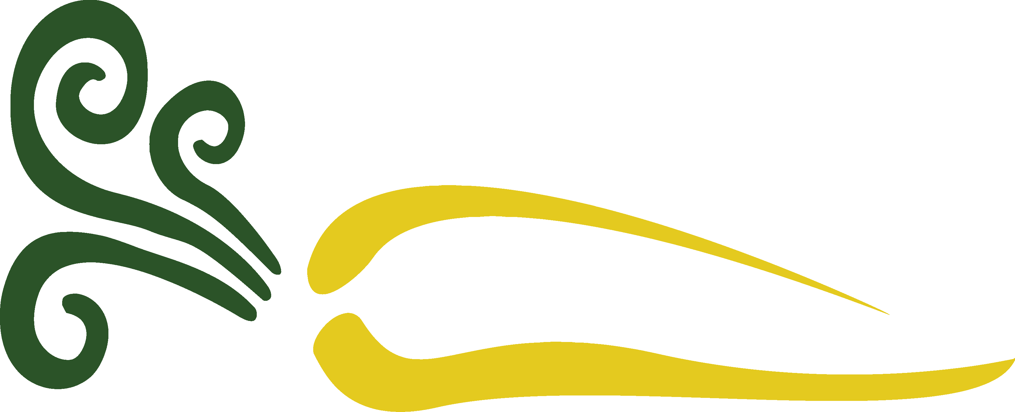 The Yellow Carrot Harvest Co.